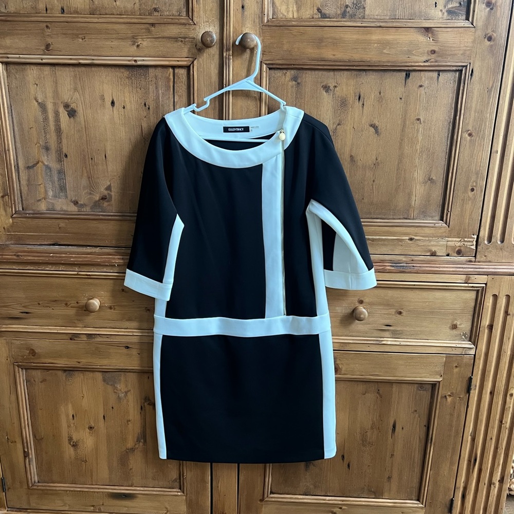 Ellen Tracey dress!